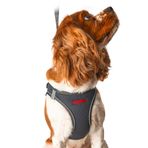 Lusi Doog Kişiye Özel Airmesh Köpek Göğüs Tasması İsimli Göğüs Tasması I Küçük ve Orta Irk Köpekler I Renk Seçenekli (Gri, M)