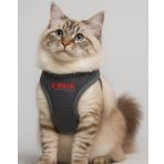 Lusi Doog Kişiye Özel Kedi Gezdirme Tasması Airmesh İsimli Kedi Göğüs Tasması Esnek Kedi Tasması (Gri, 2XS)