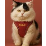 Lusi Doog Kişiye Özel Kedi Gezdirme Tasması Airmesh İsimli Kedi Göğüs Tasması Esnek Kedi Tasması (Kırmızı, S)