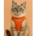 Lusi Doog Kişiye Özel Kedi Gezdirme Tasması Airmesh İsimli Kedi Göğüs Tasması Esnek Kedi Tasması (Turuncu, 2XS)
