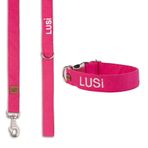 Lusi Doog Kişiye Özel Köpek Boyun Tasması İsimli Köpek Tasması ve Gezdirme Kayışı Seti I Küçük, Orta ve Büyük Irk Köpekler I Renk Seçenekli (Pembe, L)