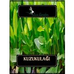 Lux Garden Kuzu Kulağı Tohumu 15 Adet