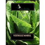Lux Garden Yedikule Marul Tohumu 300 Adet