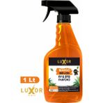 Luxor Kimya Mango Kavun 1 kg Oto Kokusu