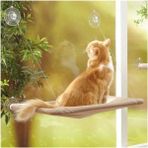 Luxury Cama Asılan Kedi Yatağı Minderi (Yapışan Vantuzlu) 1 Adet