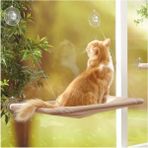 Luxury Sunny Seat Cama Asılan Kedi Evi Yatağı Vantuzlu Hamak Uyku Çadırı 1 Adet