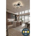 Lzy Avize Store Daisy Noir 4’lü Siyah Modern Plafonyer LED Avize 3 Renk | Salon, Mutfak, Çocuk Odası ve Antre İçin