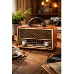 M-157Bt Nostaljik Radyo Görünümlü Bluetooth,Hafıza Kartı,Usb Bellek,Aux Ve Radyo Destekli Hoparlör Gold