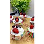 M Mimoza Park 200 Adet Renkli Muffin Cupcake Kalıpları Kek Kapsülü Cupcake Muffin Kağıdı