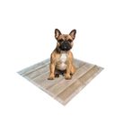 M-Pets 50'li Eco Bamboo Köpek Çiş Eğitim Pedi
