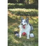 M-Pets Grey Ball 9,5cm Örgü Top Oyuncak