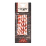 M-Pets Trusty Twisted Sticks Sığır Etli 10x12.7 cm Köpek Ödül Çubuğu
