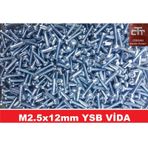 M2.5X12 Ysb Yıldız Silindir Baş Vida 100 Adet