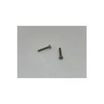 M2.5x20 Ysb Minik Mikro Vida A2 Inox 10 Adet