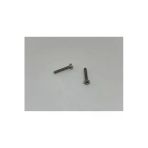 M2.5x5 Ysb Minik Mikro Vida A2 Inox 10 Adet