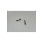 M2x12 Ysb Minik Mikro Vida A2 Inox 10 Adet