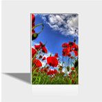 M3 Decorium 60x90 cm Gelincikler Canvas Tablo