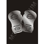 M3 Decorium Box Eldiveni Spor Salonu Duvar Kolon Kiriş Dekoratif Aynası