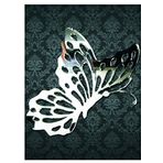 M3 Decorium Butterfly Season Dekoratif Ayna