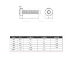M3M4M5M6 Torx Hırsızlığa Karşı Vida Tava Başı/Yarı Yuvarlak Başlık Torx Cıvatalar Hırsızlığa Karşı Cıvatalar M5 * 40 (5 Tablet)
