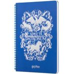 Mabbels DFT-388449 Harry Potter Expecto Mavi 80 Yaprak 17x24 cm Spiralli Defter