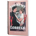 Mabbels Friends You're My Lobster Spiralli Defter Pembe