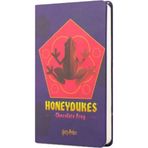 Mabbels Harry Potter Sert Kapak Mini Defter Kurbağa Mor