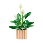 Mabelme Botanicals Barış Çiçeği 11504 - Yetişkin Kadınlar ve Erkekler Için Farklı Aşamalarda 6 Barış Çiçeği Içeren Sevgililer Günü'ne Özel Koleksiyonluk Dekoratif Model Yapım Seti (474 Parça) - 0 - Siyah