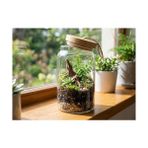 Mabeyn Bivium Bambu Kapaklı Hava Geçirmez Cam Kavanoz, Saklama Kabı, Makarna, Kuruyemiş, Bakliyat, Erzak Kavanozu (1 Adet, 1200 Ml) - 0 Siyah - Option-1