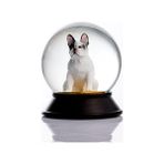Mabeyn Cam ve Reçine Altın Patiler Köpek French Bulldog (Beyaz) Kar Küresi Hediye - 0,35 lt