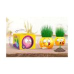 Mabeyn Emoji Temalı Çim Adam 6'lı Set – Çocuklar Için Eğitici ve Eğlenceli Bitki Yetiştirme Kiti