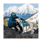 Mabeyn Kurgo Köpek Eyer Çantası Sırt Çantası, Sırt Çantası Köpek Koşum, Köpekler Için Yürüyüş Paketi, Evcil Hayvan Giymek Için Paketler, Kamp ve Seyahat Yeleği Koşum, Yansıtıcı, Hafif, Baxter Paketi, Orta ve - 0 - 3 Yaş - 0 - Siyah