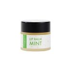 Mabeyn Polente Natural - Naneli Lip Balm - Nemlendirici Dudak Kremi (10 Ml) - Option-1