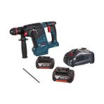 Mabeyn Professional Gbh 187-LI Akülü Kırıcı Delici (18 Volt, 2 x 5,0 Ah Akü, Şarj Cihazı, 2,4 J, Betonda Delme Çapı: 24 Mm, Plastik Çanta, One Chuck: Farklı Aksesuarlar Tek Mandrenle Kullanılabilir) - Option-1
