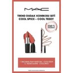 MAC Trend Dudak Kombosu Seti Cool Spice - Cool Teddy Makyaj Setleri Uzun Süre Kalıcı Özellikli