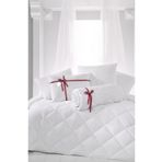 Madame Clean Home Çift Kişilik Antialerjik Lüx Microfiber Yorgan + 2 Adet 800 Gr Boncuk Slikon Yastık Seti