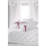 Madame Clean Home Tek Kişilik Antialerjik Lüx Microfiber Yorgan + 1 Adet 800 Gr Boncuk Slikon Yastık Seti LüxSet02