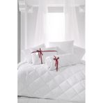 Madame Clean Microfiber Çift Kişilik Yorgan + 2 Adet Yastık Seti