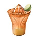 Madame Coco Henric Amber Narenciye Sıkacağı