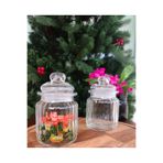Madame Coco Monikue Mini Kavanoz 250 ml - 1 Adet