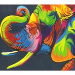 Magic Art 40x50 cm Fil Sayılarla Boyama Tuval