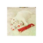 magicool tahtajaleulora12424245317411 Yılbaşı Konseptli Hışırtılı Bez Kedi Oyuncağı