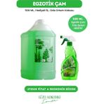 Magnesia Çam Ortam Kokusu 5 Lt Bidon (Ekonomik)+500 ml Sprey
