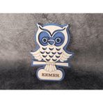 Magnet Baykuş Hayvan Nazar Boncuk Buzdolabı Süsü Ahşap Magnet Mıknatıslı Hediyelik Eşya