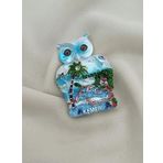 Magnet Baykuş Taşlı Mıknatıslı Buzdolabı Süsü Nazar Göz Boncukllu Palmiye Agacı Türkiye Kemer Yazılı
