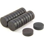 Magnet Mıknatıs 12 Mm 25 Adet