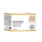 Magnewo Efervesan Magnezyum Bisglisinat, Sitrat, Malat, P5P, R5P, Vitamin B3 30 Saşe