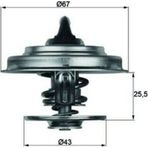 Mahle TERMOSTAT (71°) ACTROS ATEGO AXOR CITARO TOURINO T 0012033975