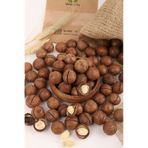 Makademya Fındığı Kabuklu 1 Kg 1 KG