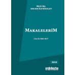 Makalelerim Cilt 2: 2001-2017 - Abuzer Kendigelen
